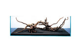 Ada Horn Wood